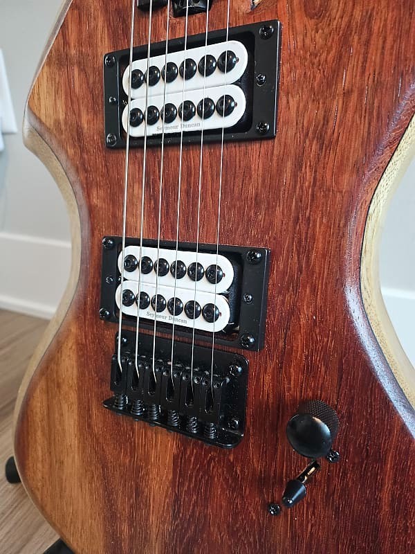 NVision Guitars – Gally/Handmade Ergonomic Electric Guitar/HH Setup/Offset