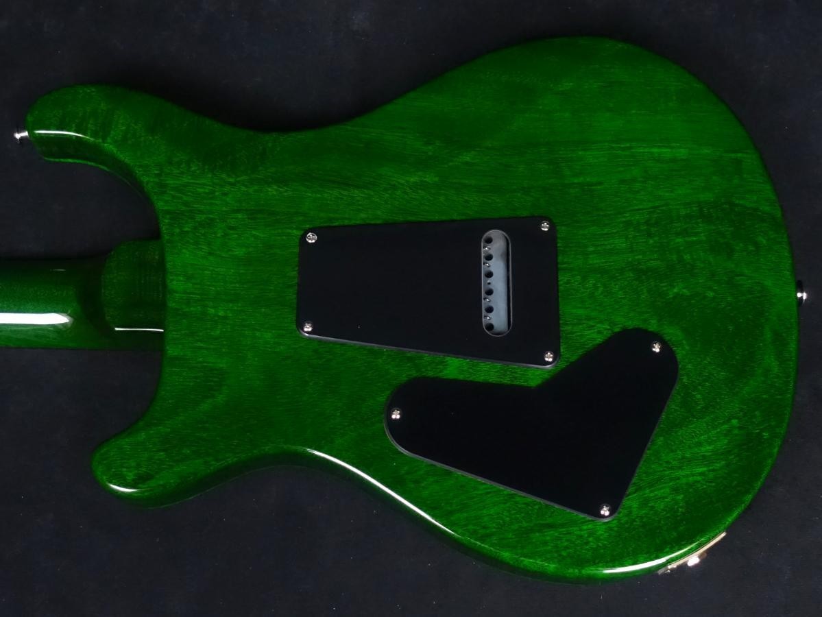 Electric Guitar PRS S2 Custom 24 10th Anniversary 2023 Eriza Verde Limited USA
