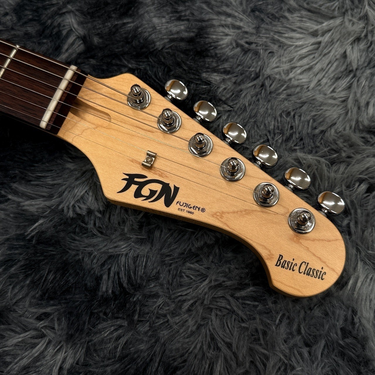 FUJIGEN FGN BCST100RBD 3TS