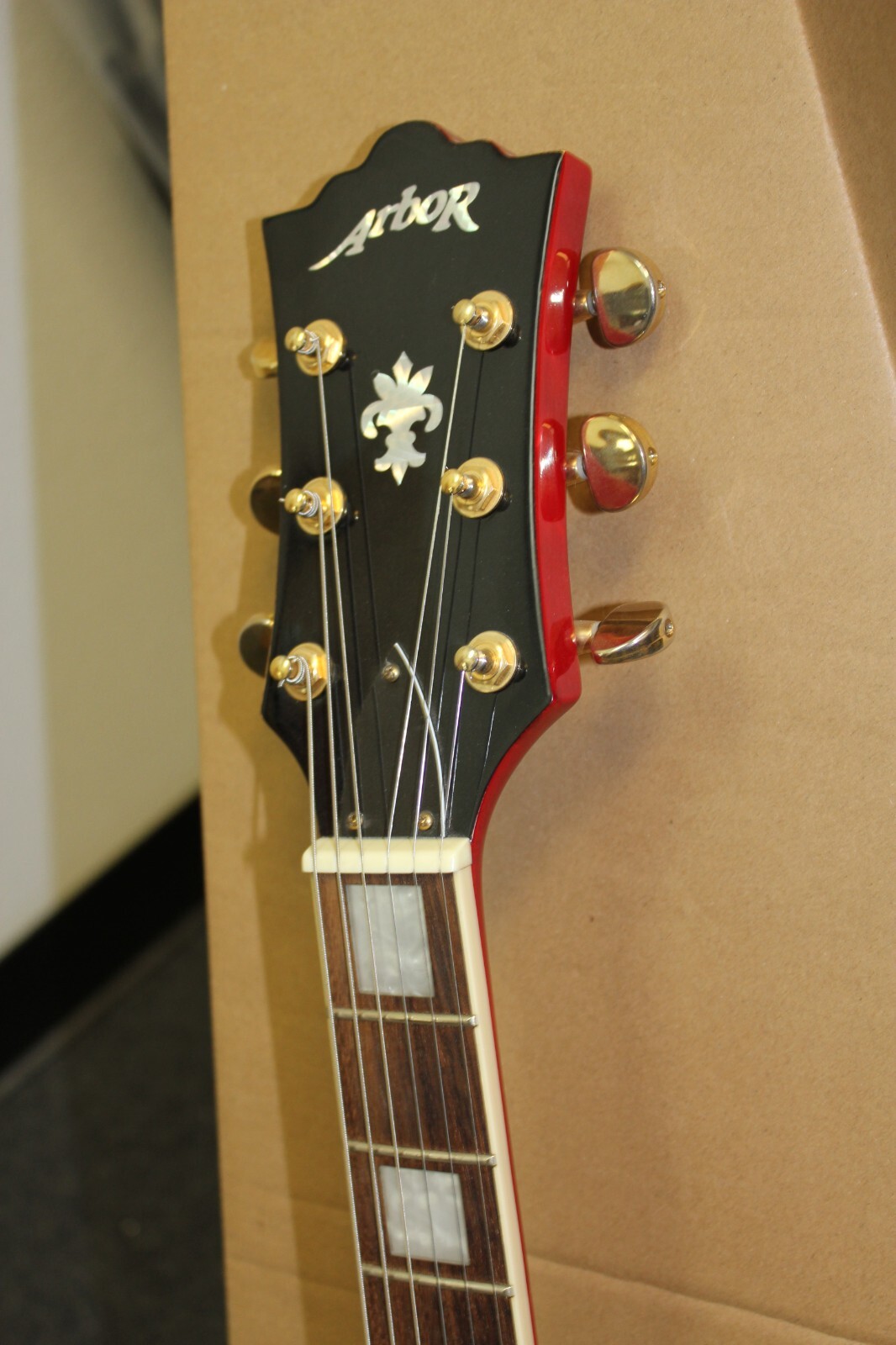 Arbor AP230 Single Cut LP Style Electric Guitar w/Bag