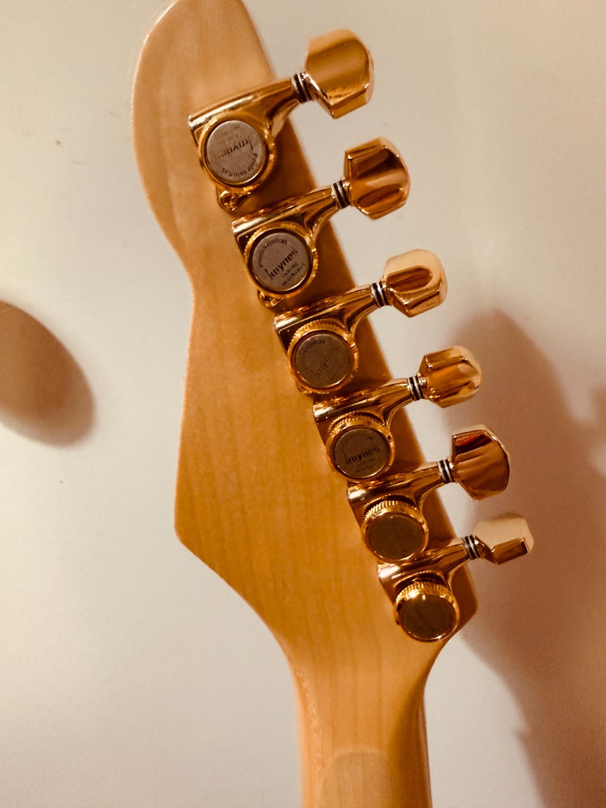 Donzilla ZebraWood Partscaster