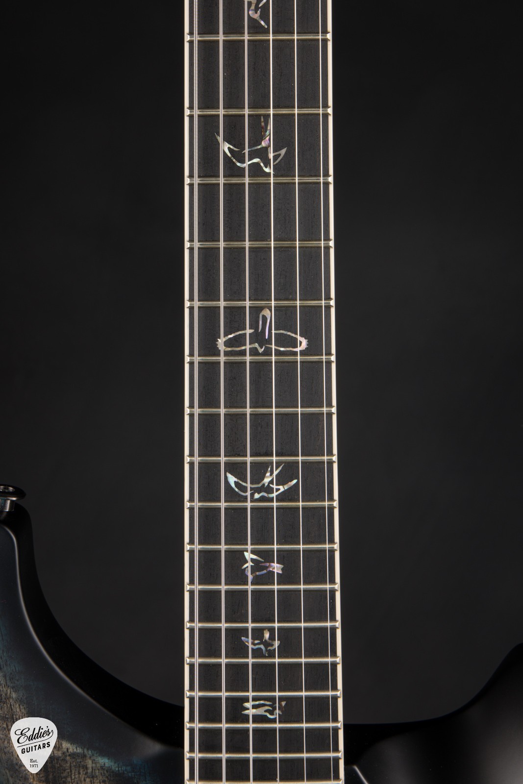 PRS Mark Holcomb – Holcomb Wraparound Blue Burst