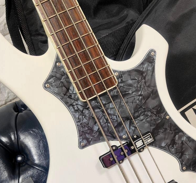 EDWARDS by ESP E-RF-137SL the GazettE REITA Model Electric Bass Guitar