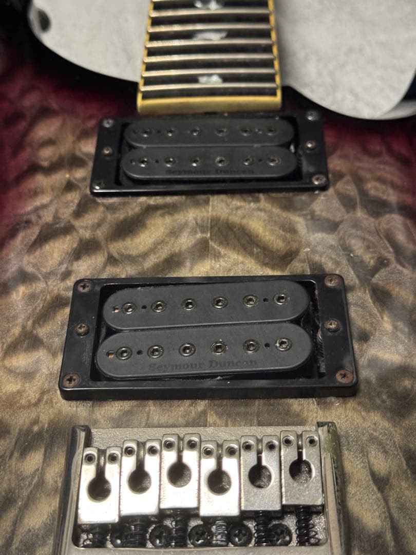 PaulReedSmith SE Mark Holcomb signature Safe Packing!