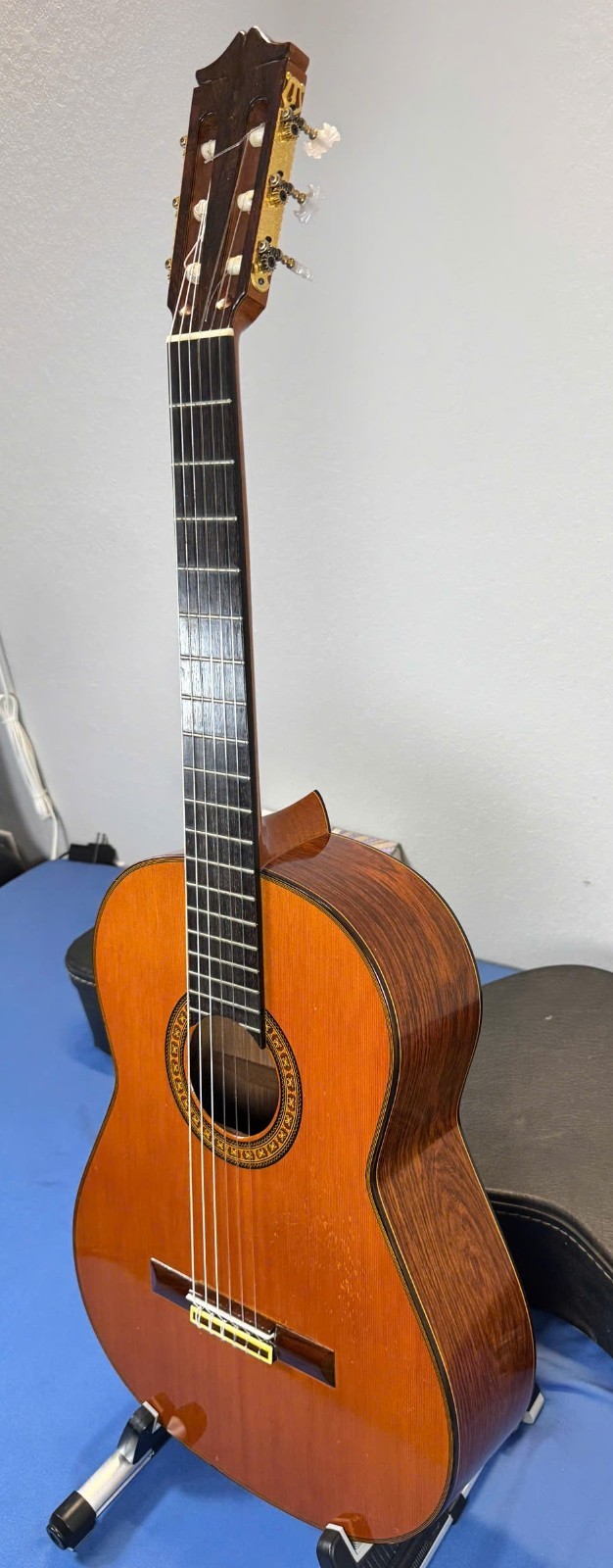 Fernandes GC-50 – Jacaranda – 1978-1979 – Good
