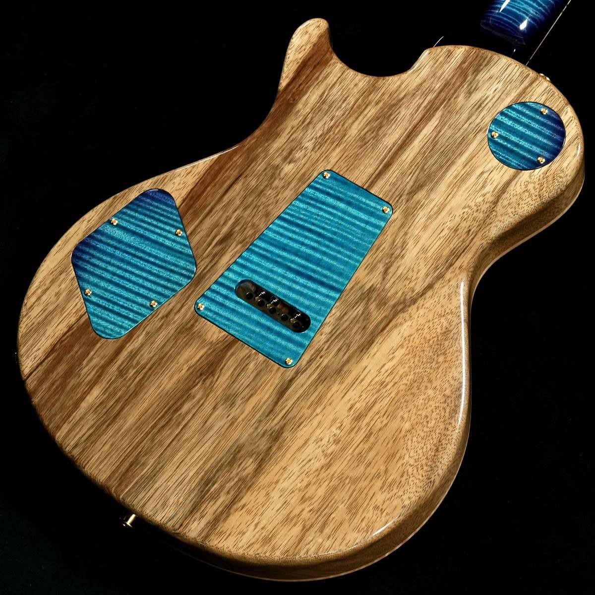 Paul Reed Smith PRS 2025 Private Stock #11988 McCarty 594 Singlecut Trem Aquable