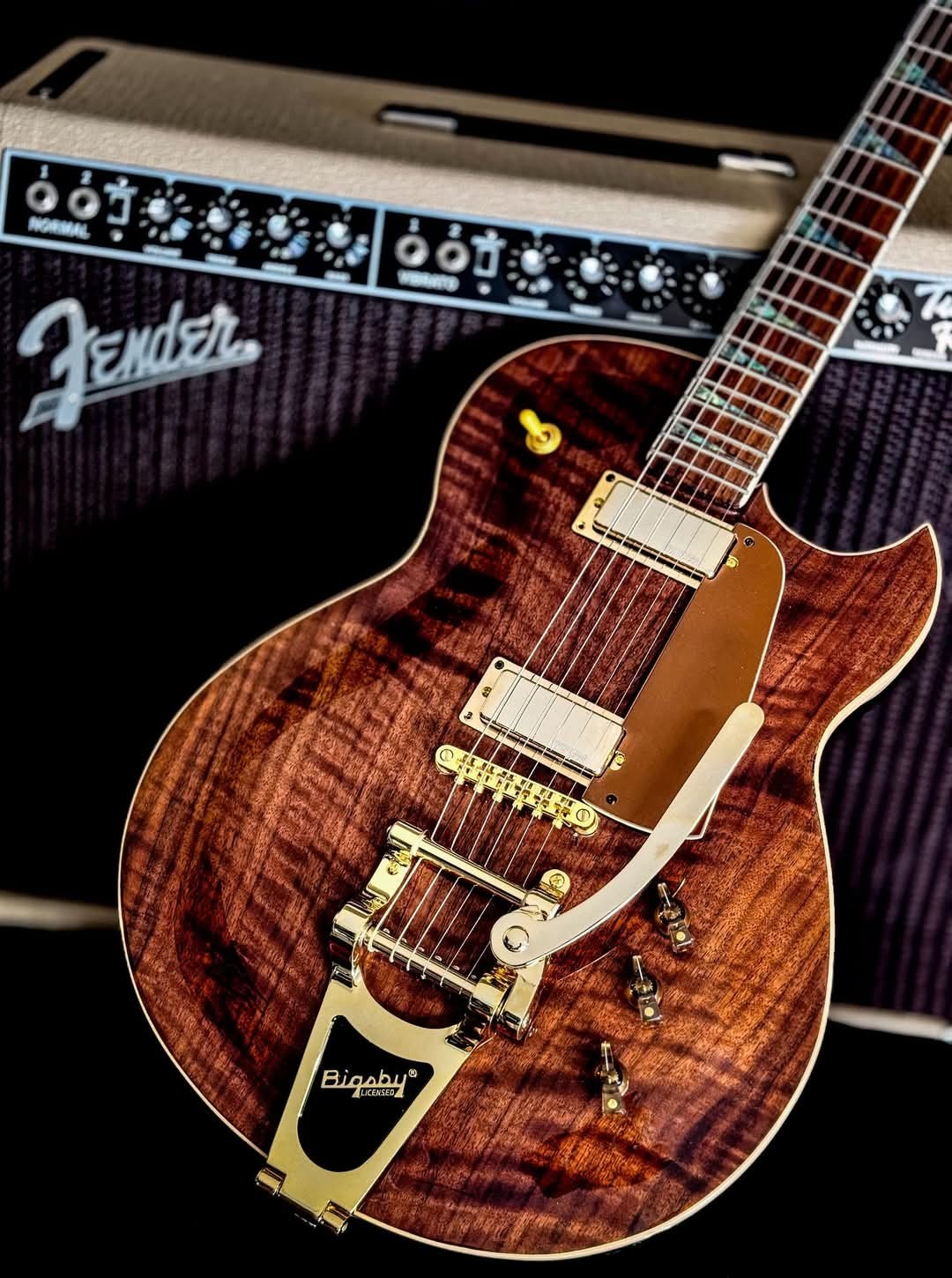DiSalvo Custom Elec Guitar, Gibson Style