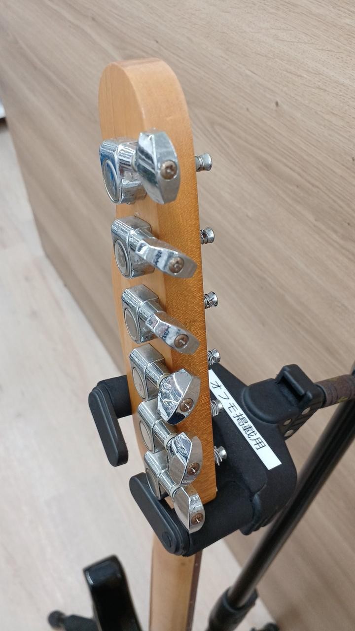 Unknown Electric Guitar Telecaster Type