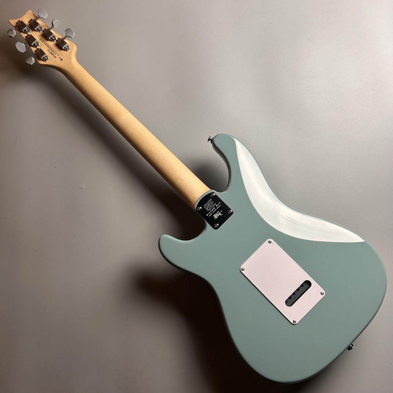 Paul Reed Smith(PRS) 3.50kg SE Silver Sky Stone Blue #GGash
