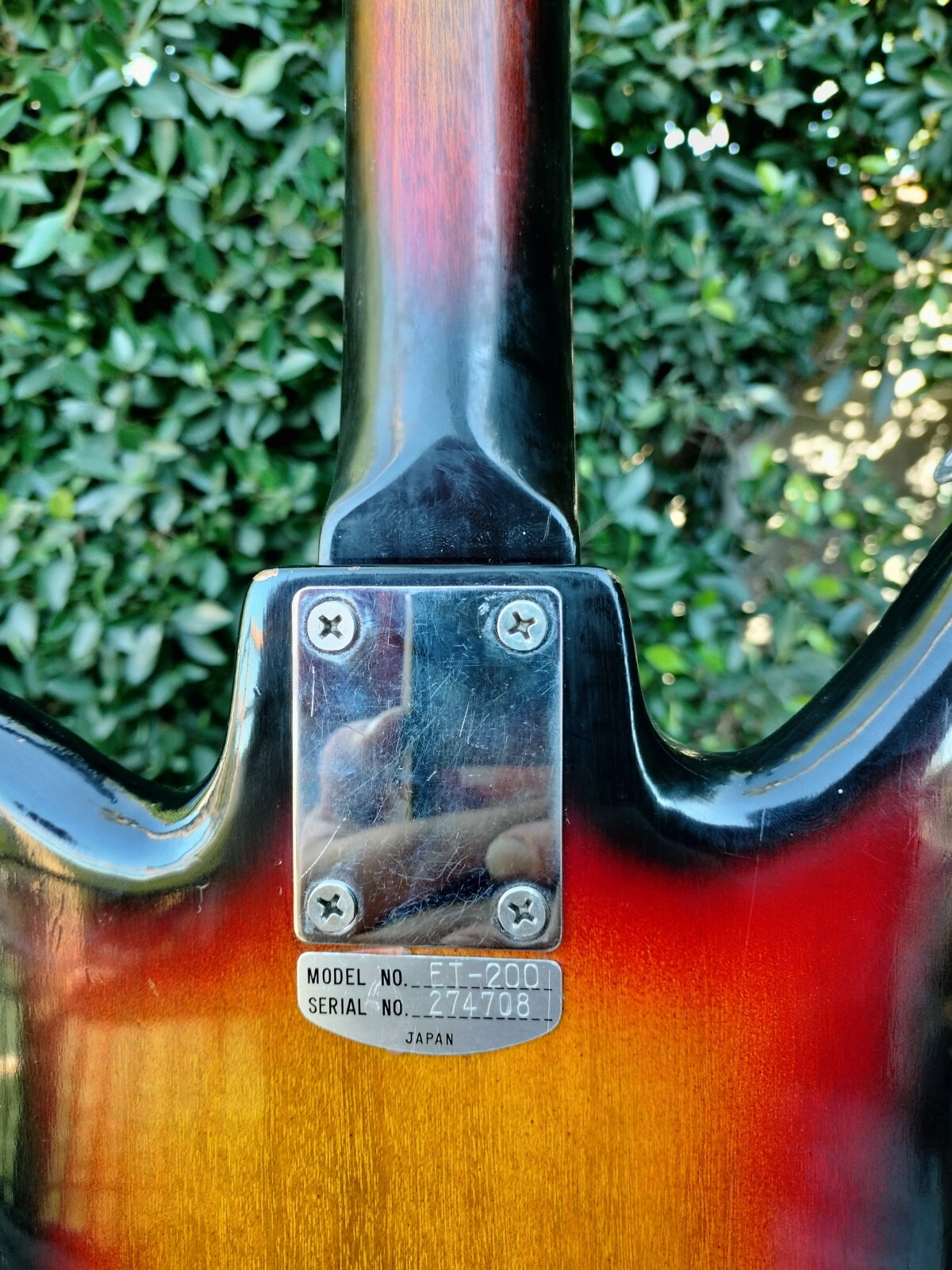 Teisco Del Rey ET-200 Tulip