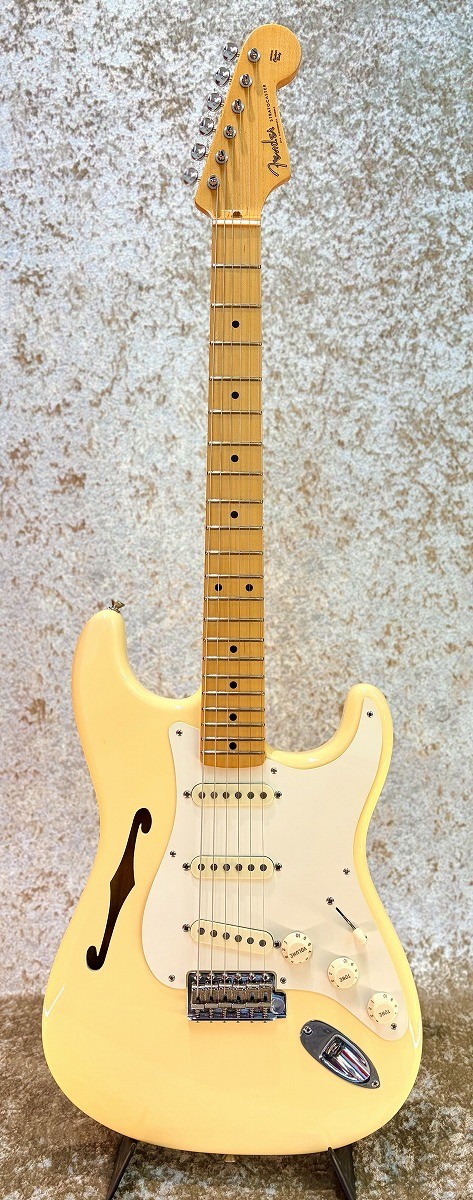 FENDER USA Eric Johnson Thinline Stratocaster 2018 Used Maple w/Soft case