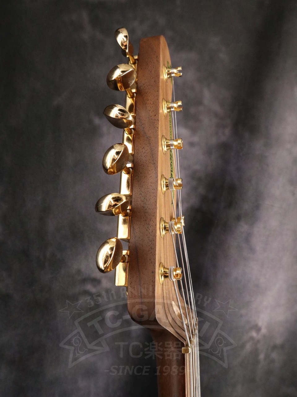 Moon TE-C Rosewood Neck Electric Guitar Part