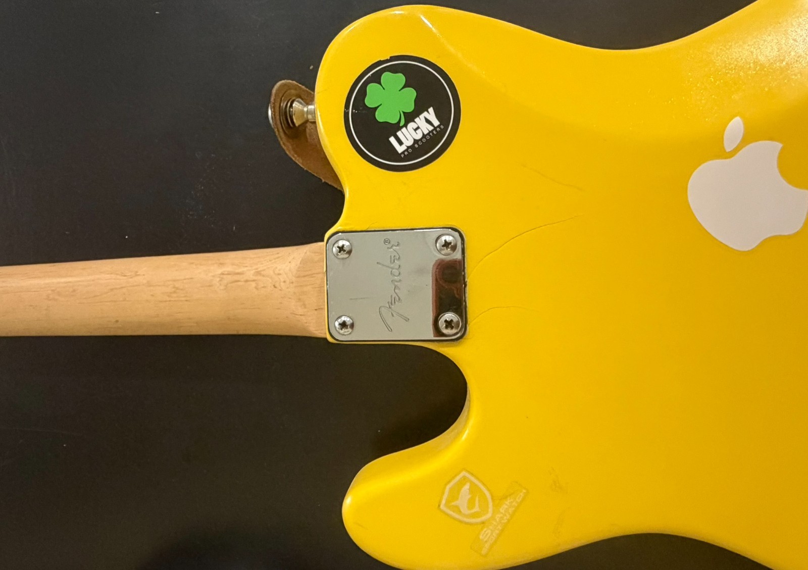 Loaded Custom Telecaster Dressed Up