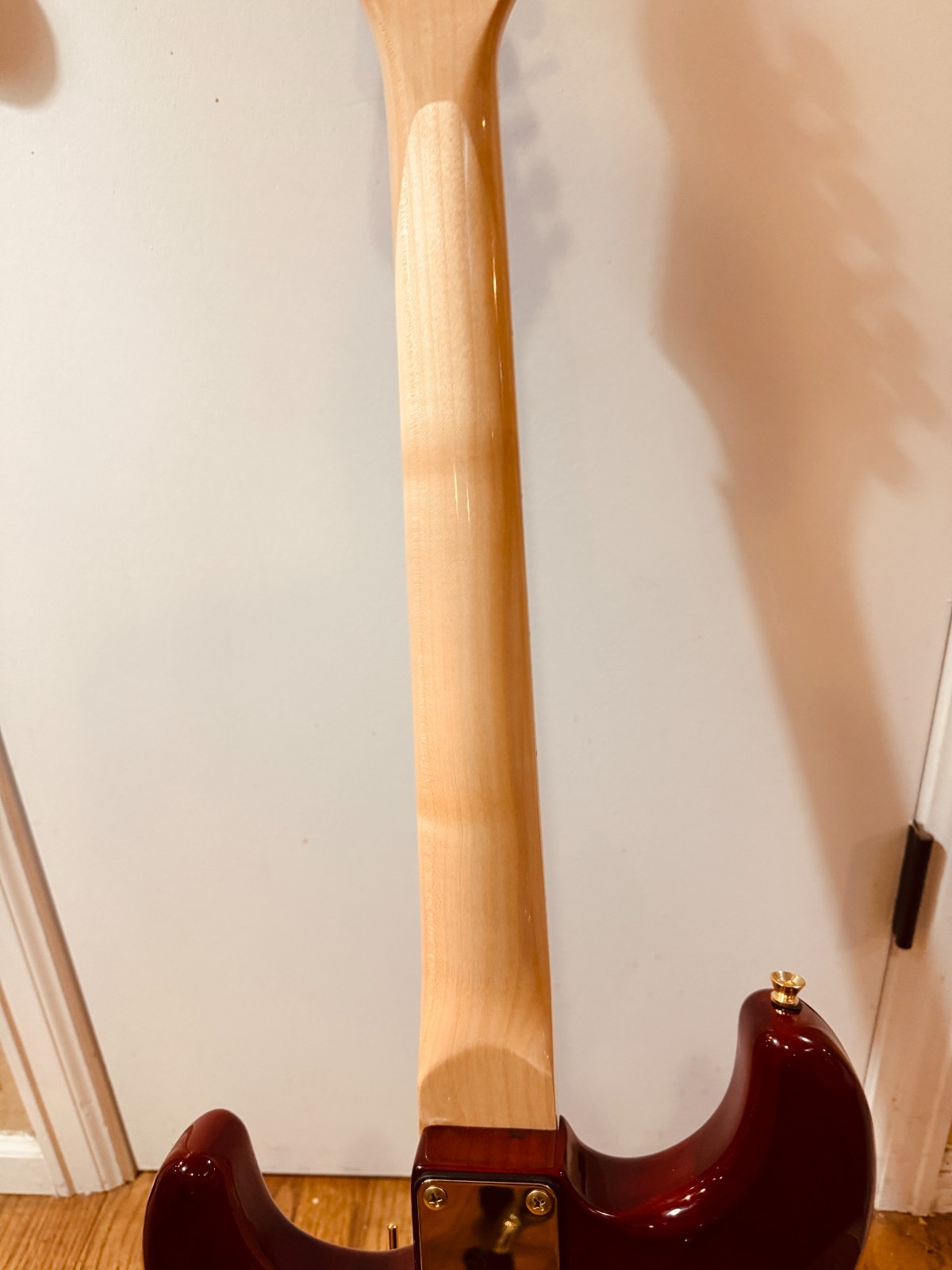 Donzilla ZebraWood Partscaster