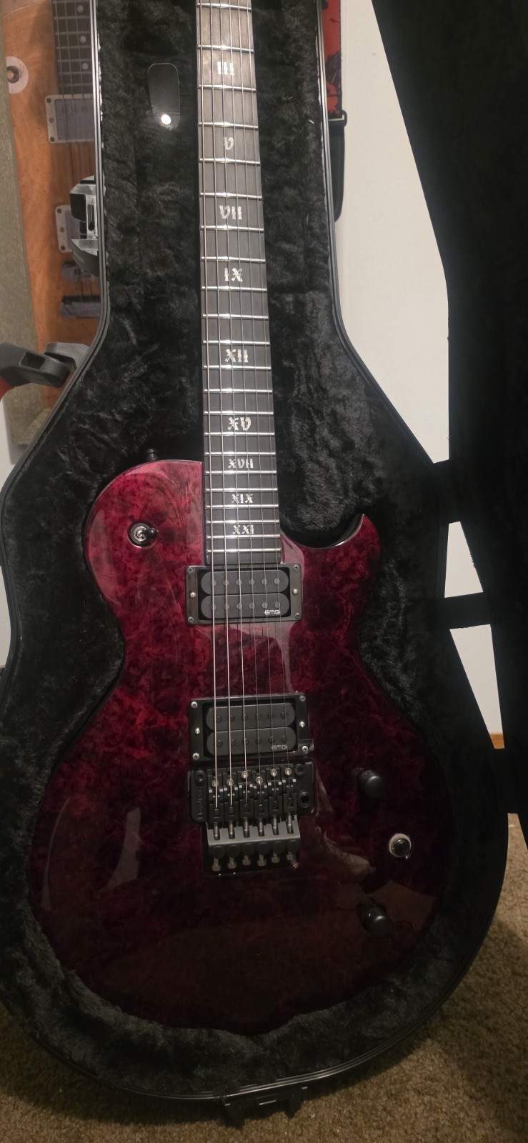 Schecter Solo ll red Reign With A Floyd rose with (Active EMG DAEMONUMS)