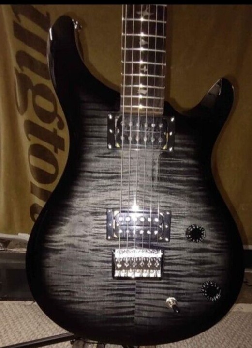 PAUL REED SMITH CUSTOM BARITONE
