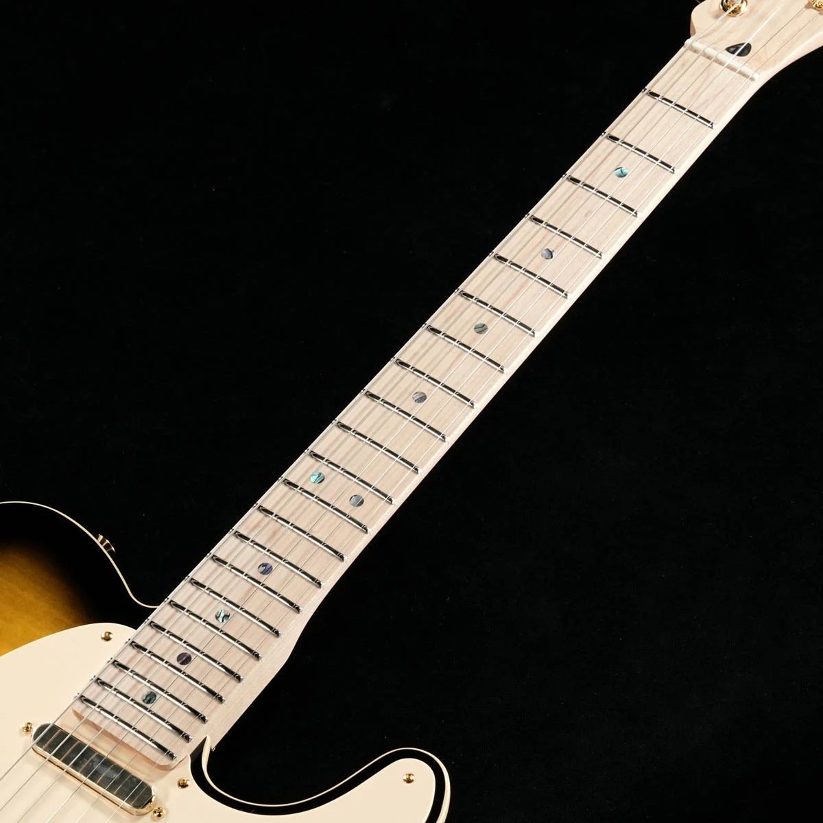 Fender Richie Kotzen Telecaster Brown Sunburst MIJ Ash HS DiMarzio Gold Gig Bag