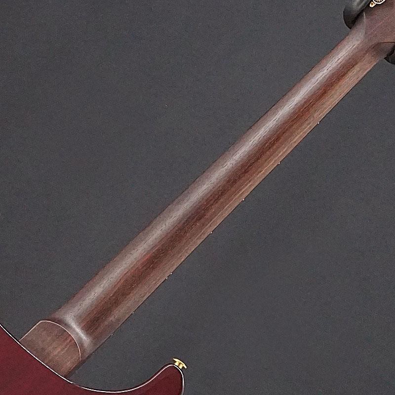 P.R.S. Wood Library Custom 24-08 10Top Rose Neck Aquableux Purple Burst