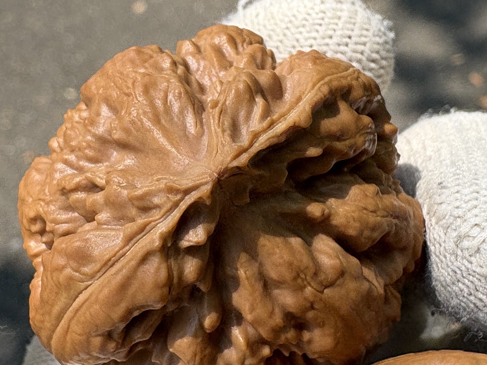 Hand Massage ball Wenwan walnut T-rex Thick Ridge Ba Wang Long Qiu Zi