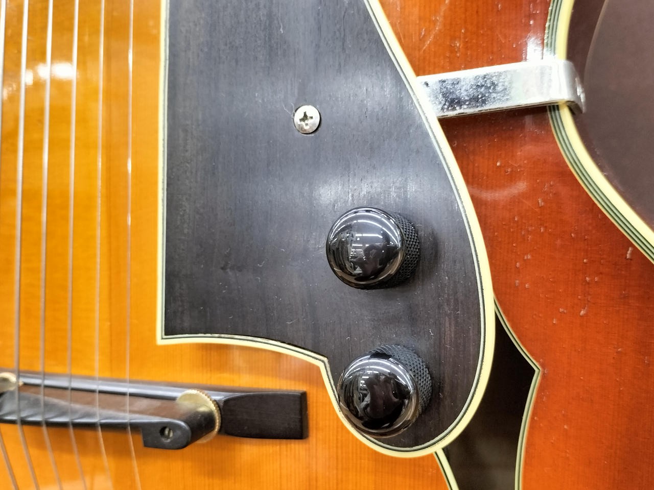 EASTMAN AR-810CE Electric Guitar