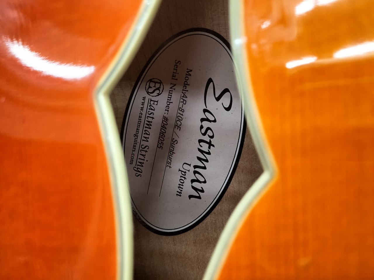 EASTMAN AR-810CE Electric Guitar