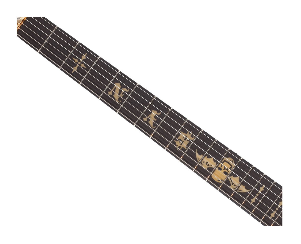 Schecter Synyster Gates Custom-S Guitar – Black w/Gold Stripes