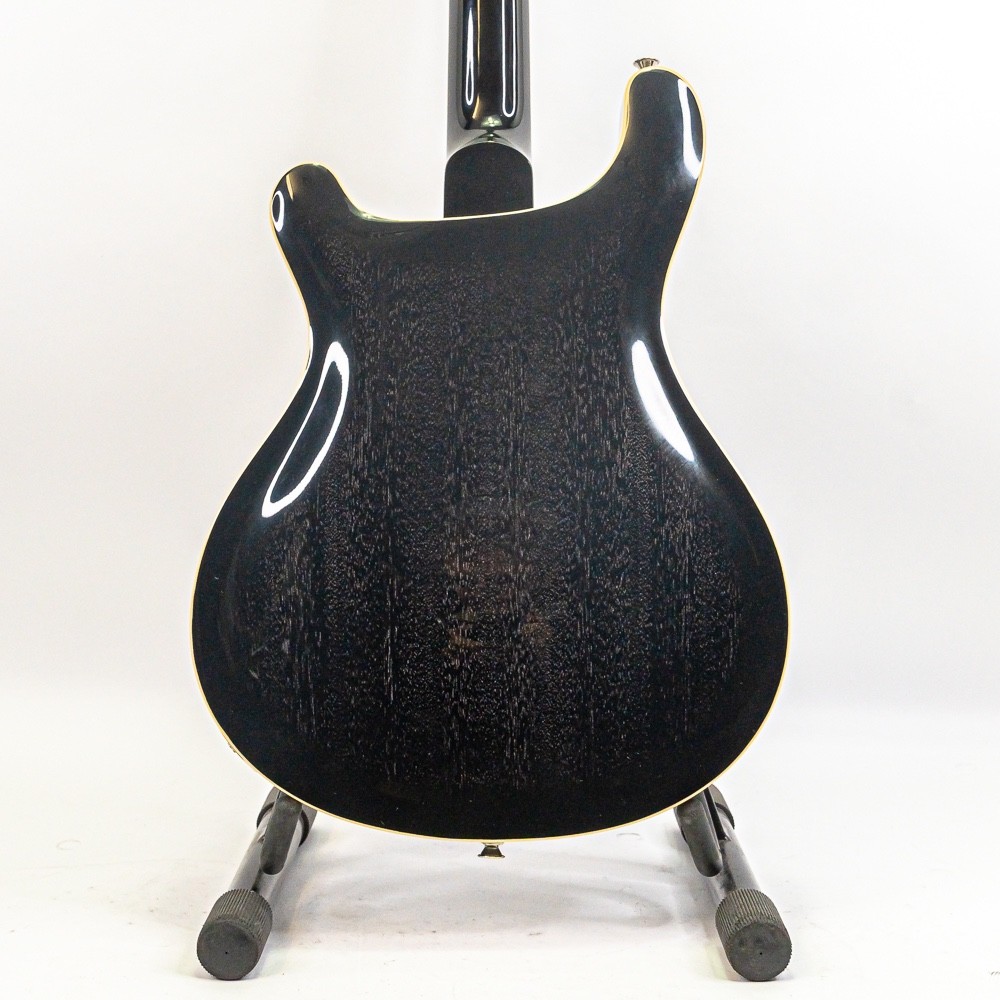 PRS SE Hollowbody Standard Guitar – Dog Hair Smokeburst w/ Case, Porter Pickups
