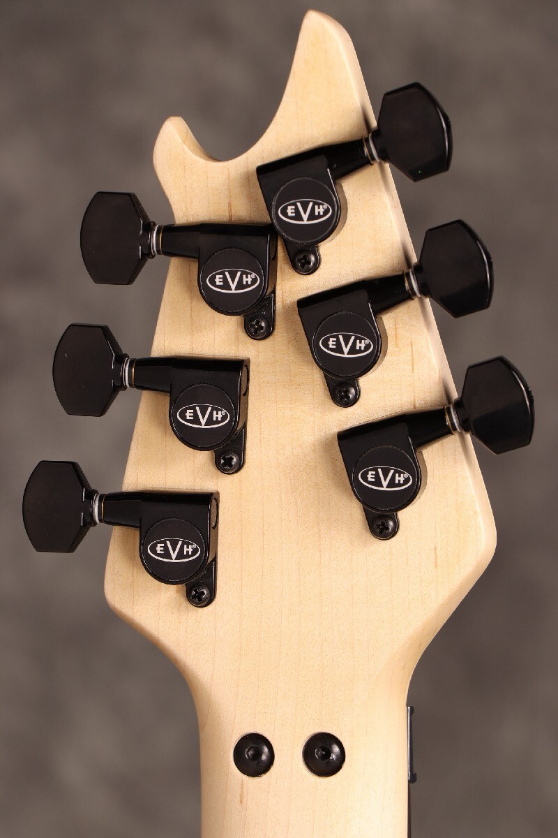 EVH Wolfgang USA Edward Van Halen Signature Ebony Fingerboard Stealth Black