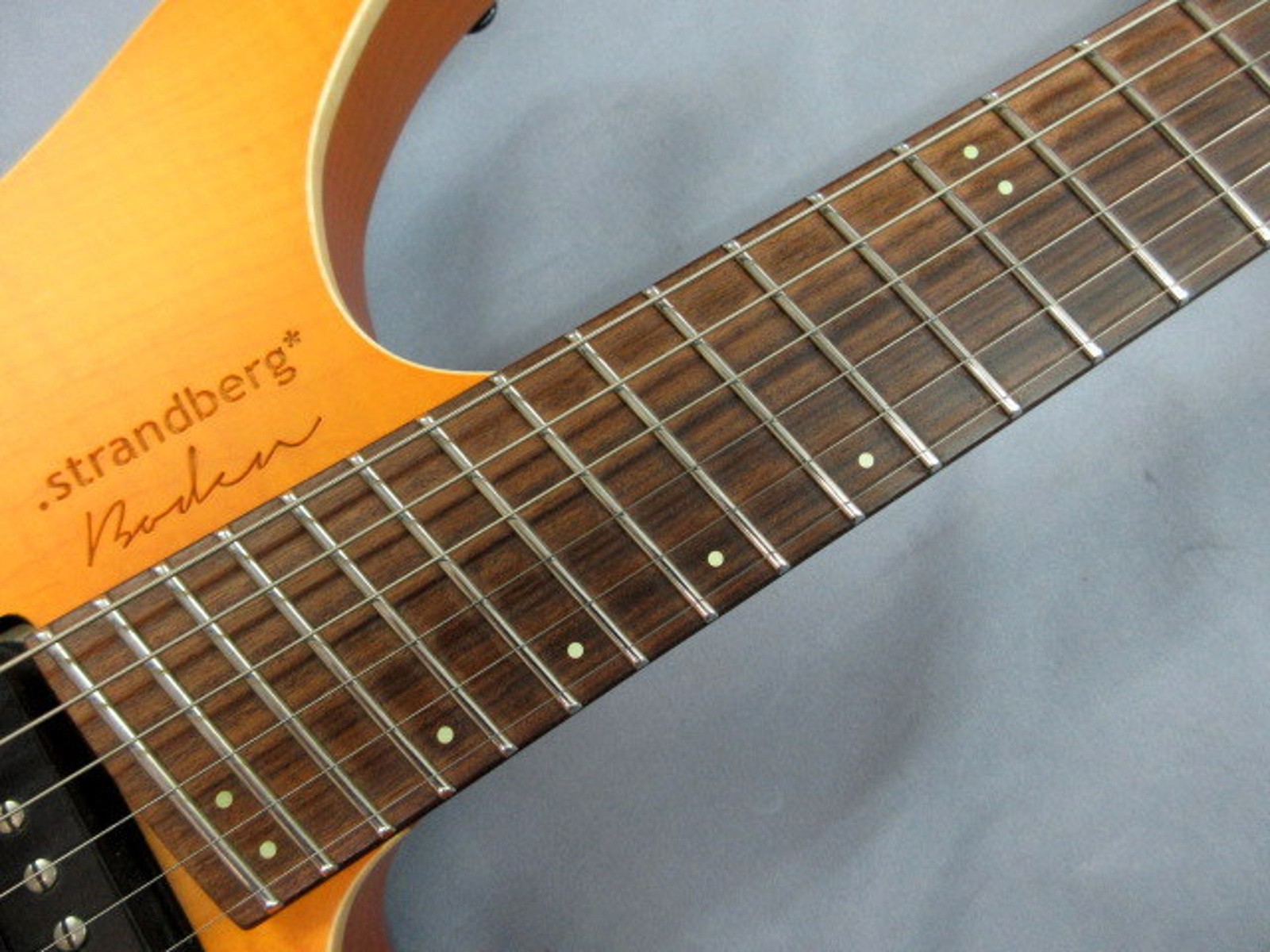 strandberg Boden Fusion 6 Pau Ferro Used 2019 Alder Body w/Soft Case