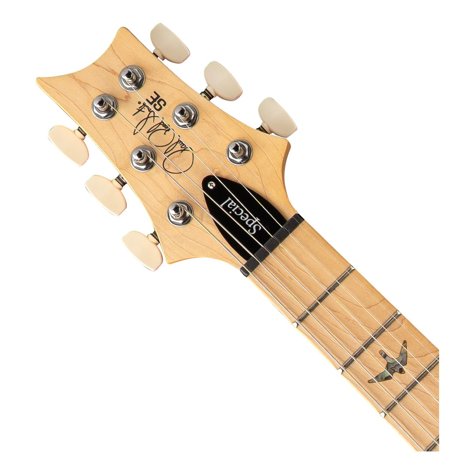 PRS SE Swamp Ash Special Electric Guitar – Charcoal
