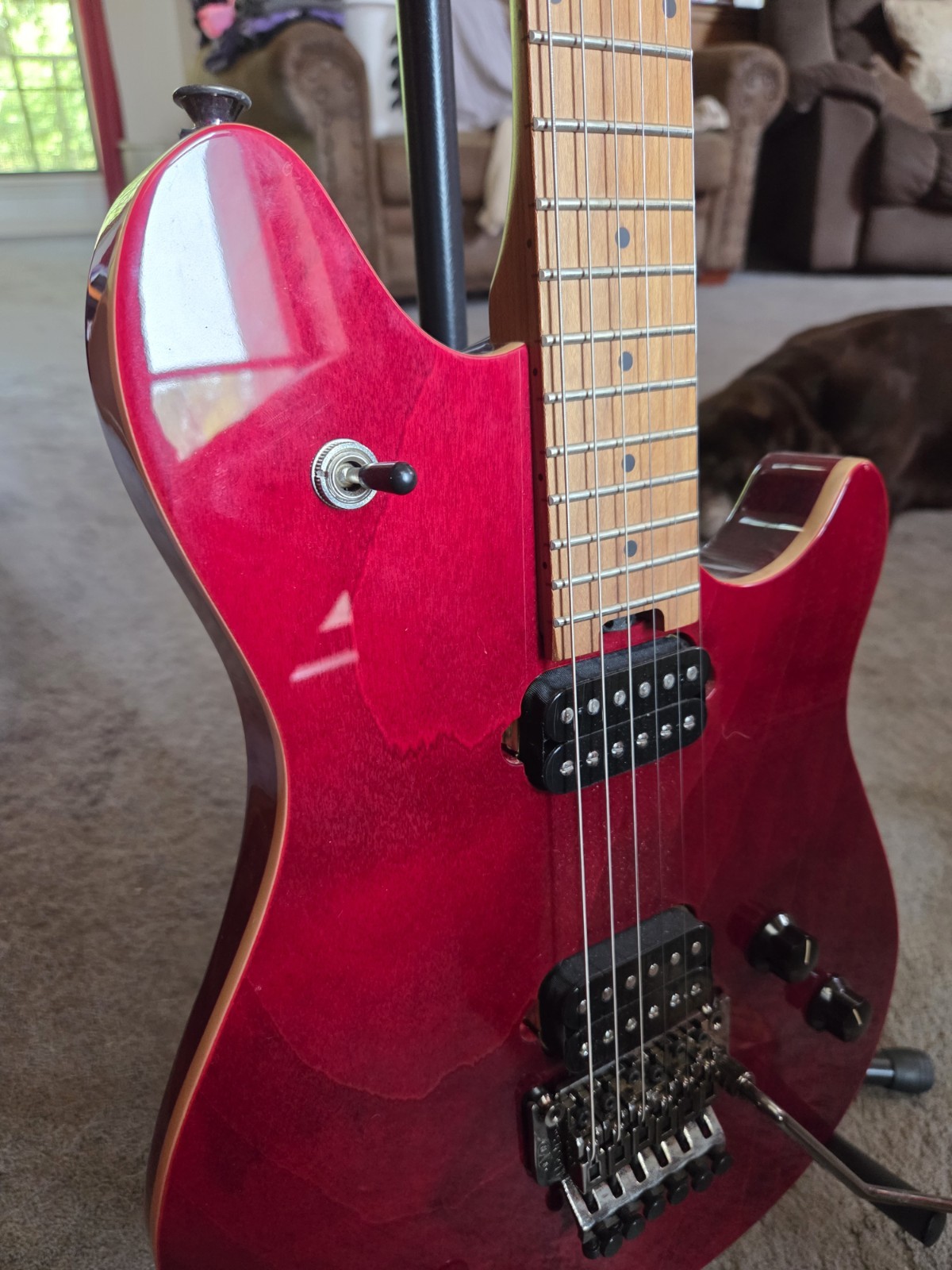 2024 EVH Wolfgang Standard QM -Red Wine
