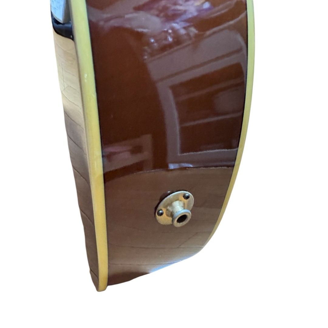 takamine cooder TCP-550VTS with hard case
