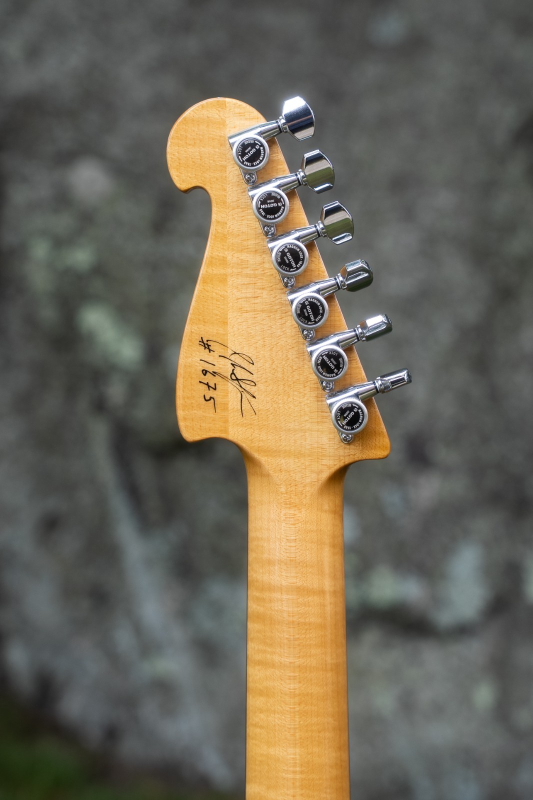 Knaggs Severn X-Flat Top/Trans Pink/Ash
