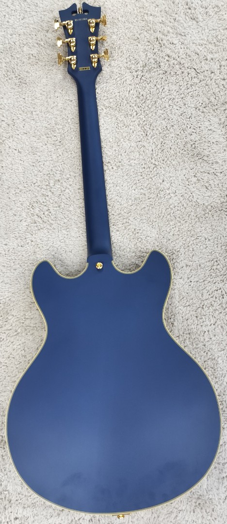D’Angelico Deluxe DC Semi-Hollow Limited Guitar, Matte Powder Blue, DADDCMPBGTCB
