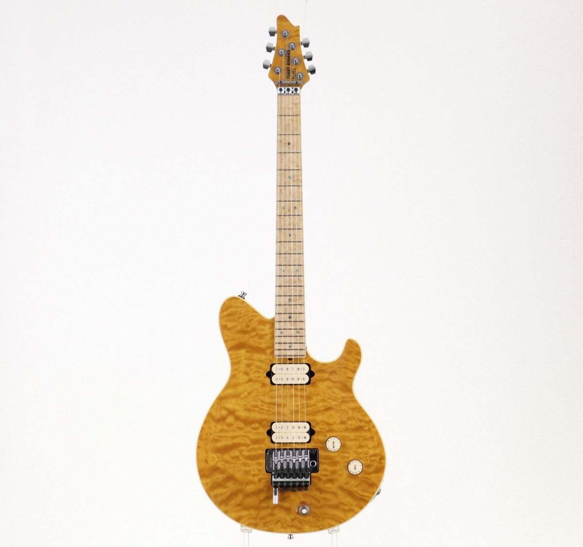 TerryRogers Mallie Trans Honey Gold Electric Guitar Used