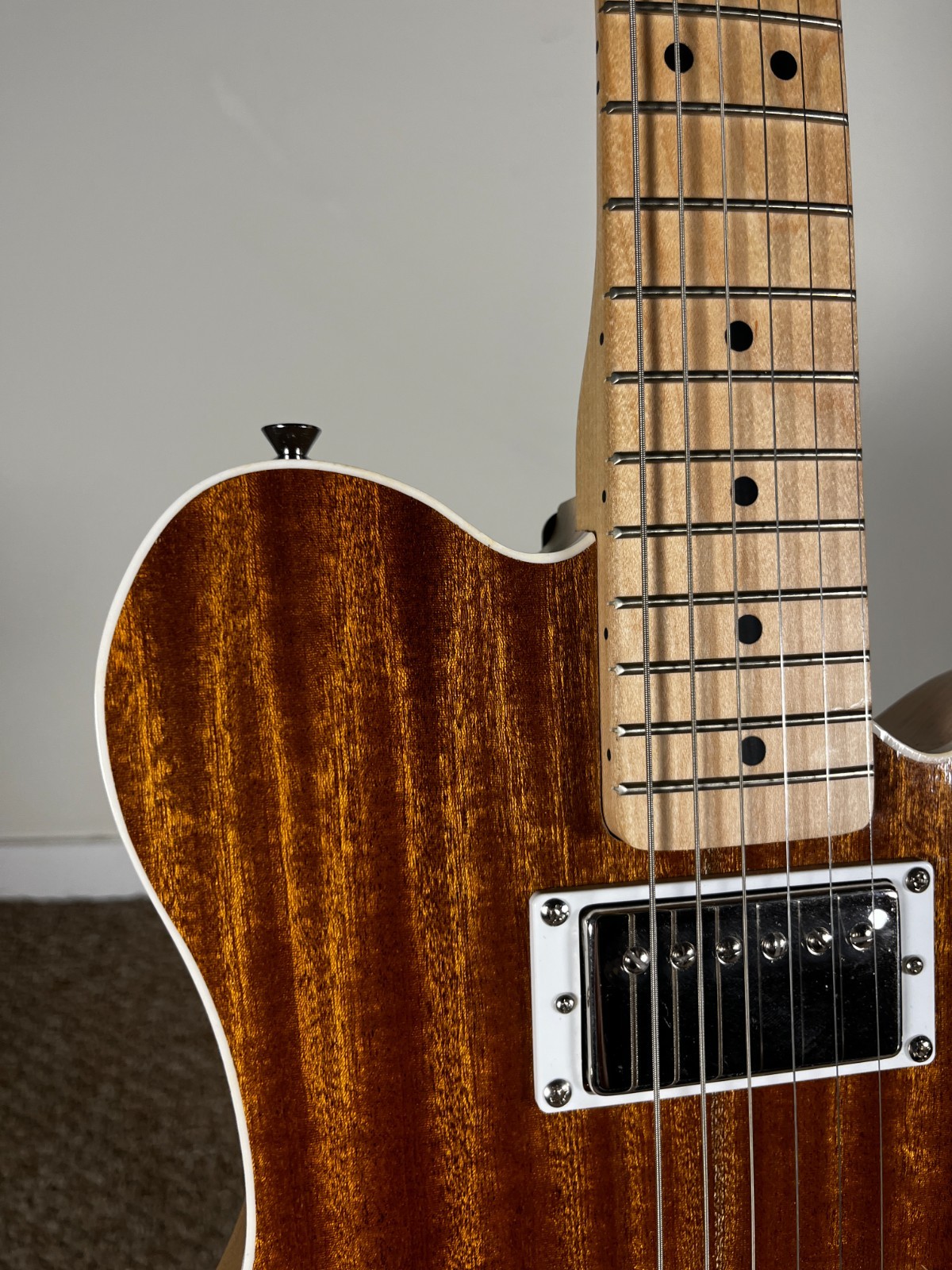 Catalyst Semi-Hollow Electric Guitar – FREE HARDCASE & SHIP (ES225/Tele hybrid)