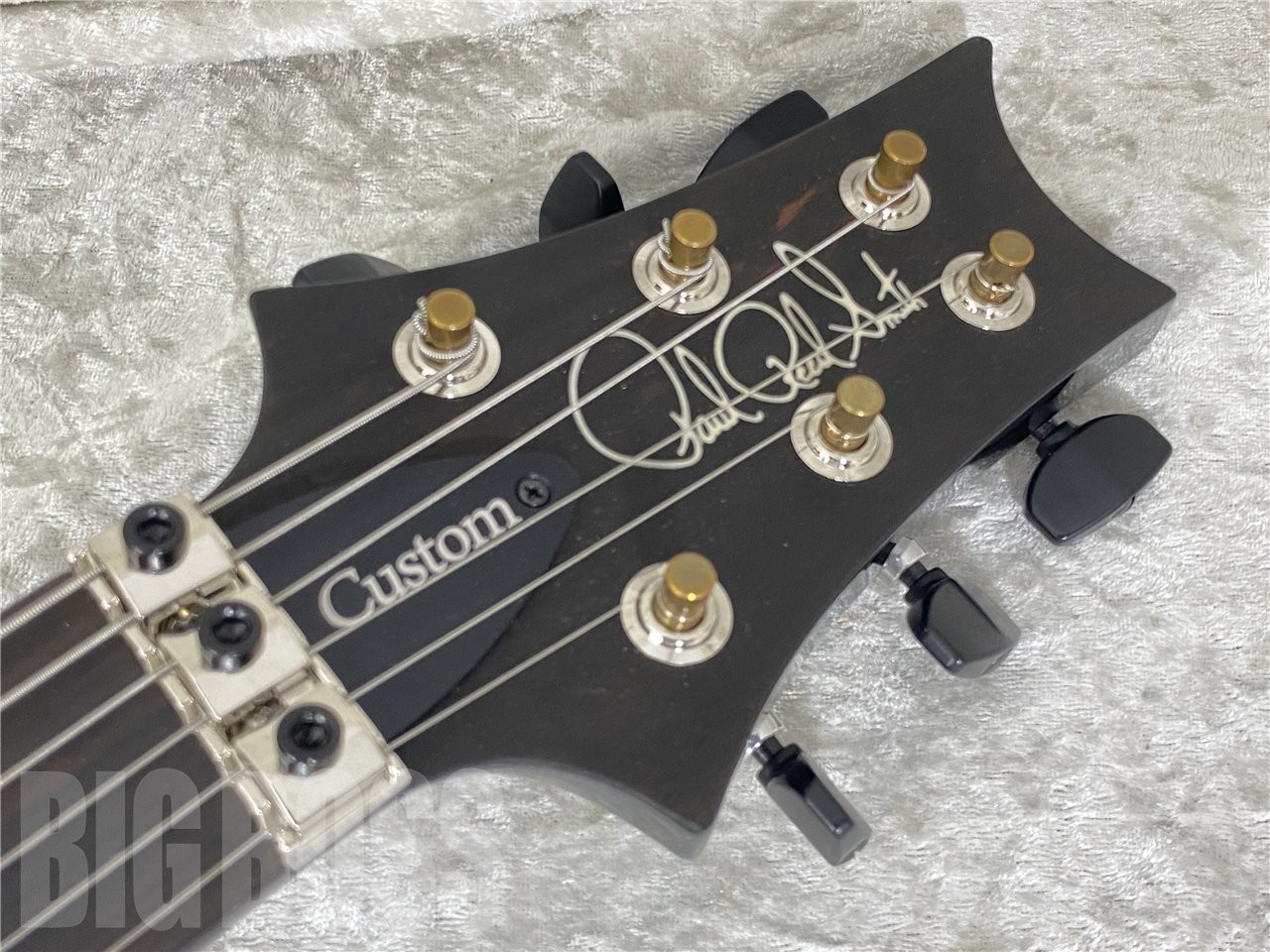 Paul Reed Smith PRS CUSTOM 24 Floyd 10Top Purple Mist (2025 model)