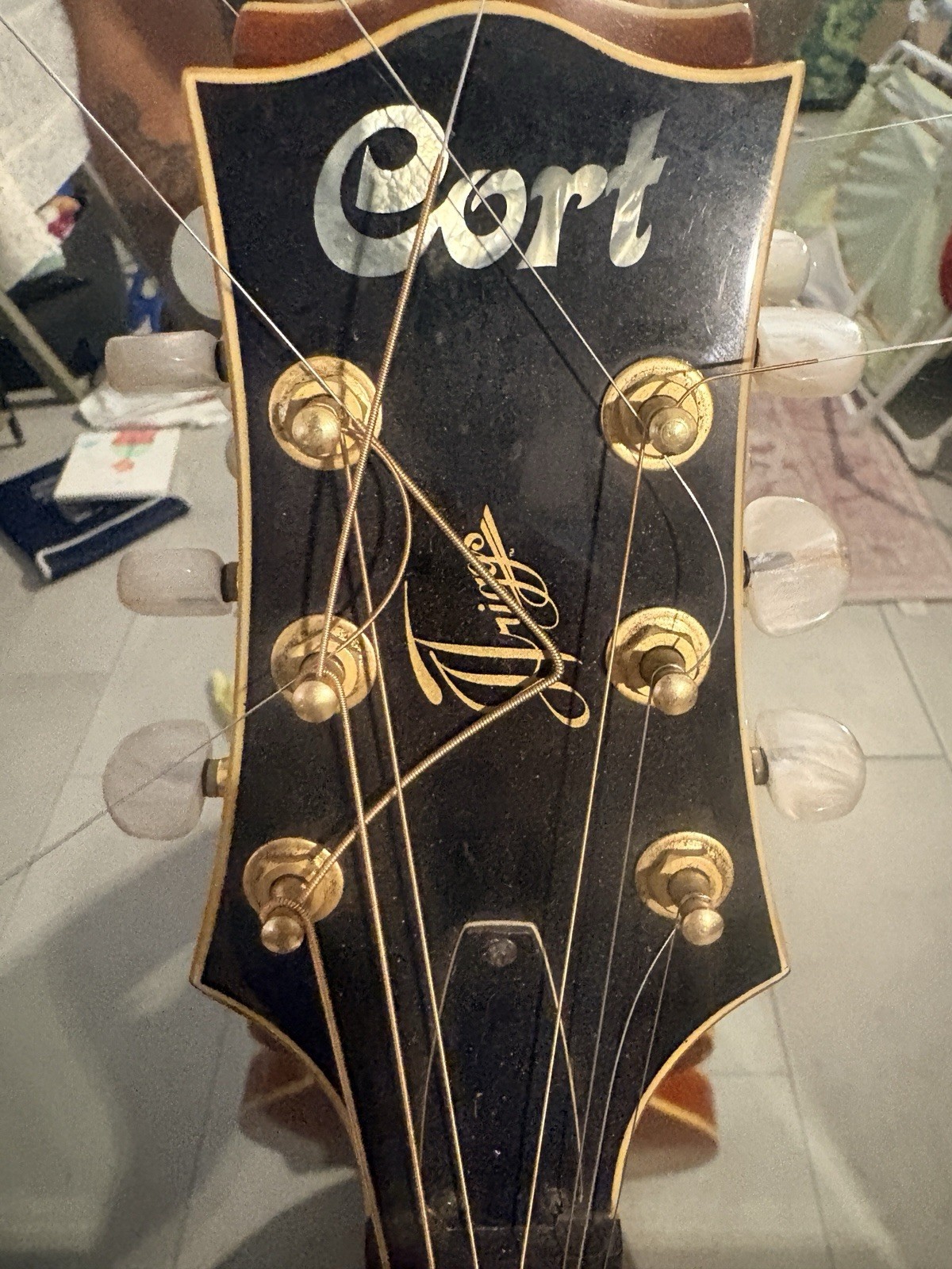Cort Jazz Hollow Body Electric Guitar Brown 6 String Wood Body Gold Hardware