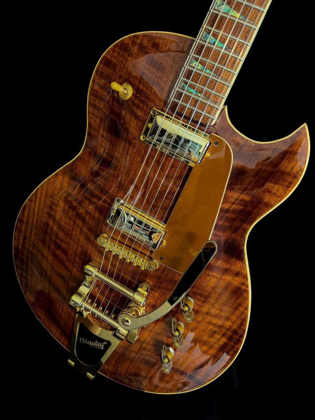 DiSalvo Custom Elec Guitar, Gibson Style