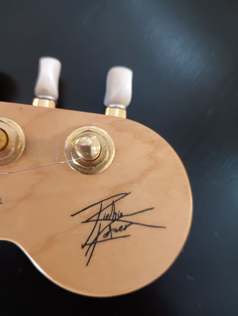 Rare Fender Japan Richie Kotzen Model