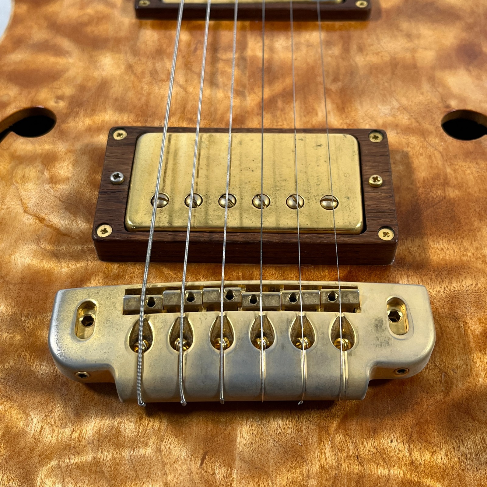 FUJIGEN FGN GF-QM FUJIGEN CUSTOM SHOP Semi-hollow S 0142