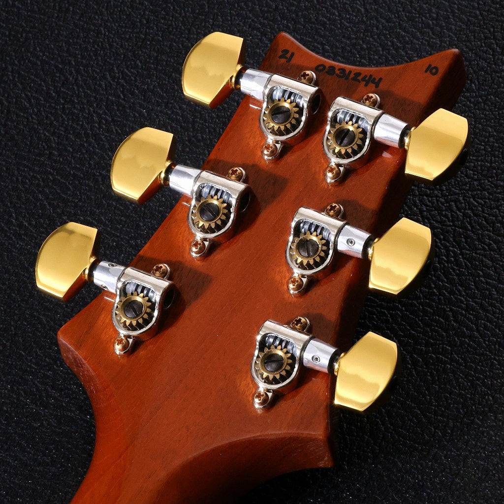 PRS 2021 Custom 24 10-Top Green Fade Pattern Regular Neck [0331244]