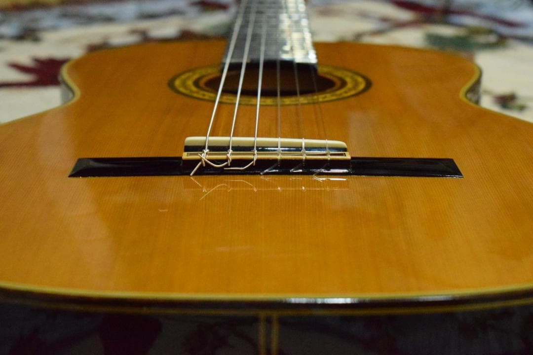 TAKAMINE No.30 Made in 1989 Top veneer with case