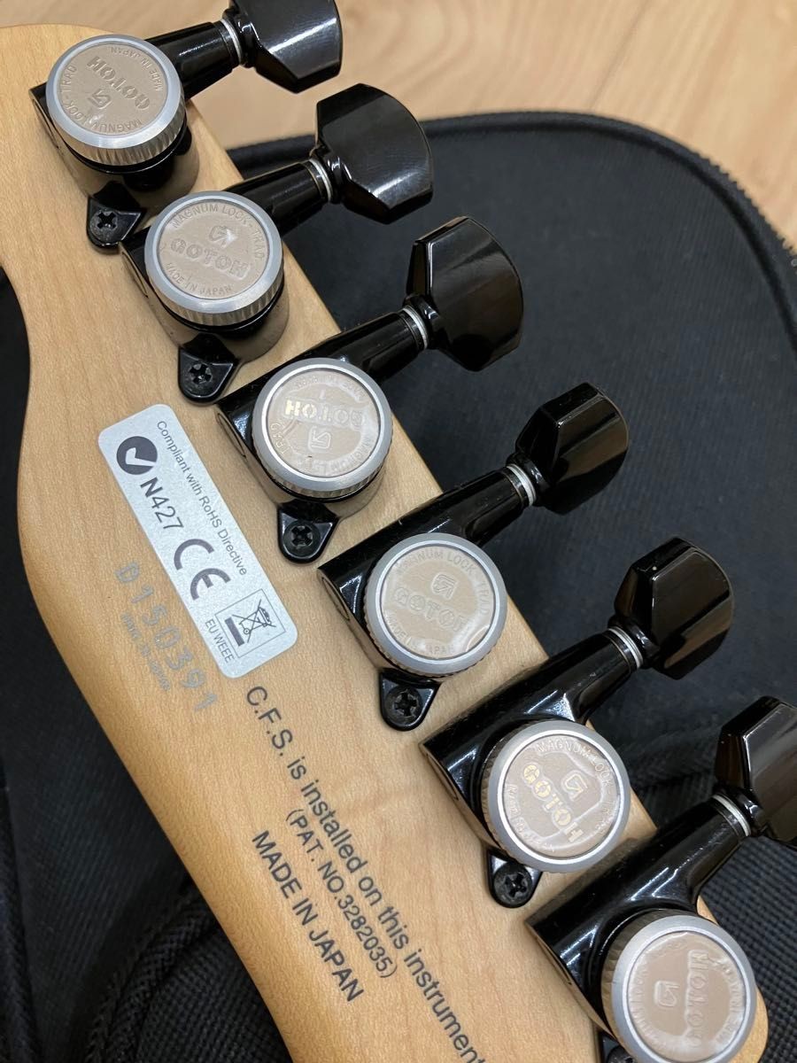 Fujigen J-Standard Iliad JIL-ASH-DE664-M Electric Guitar 664mm Long Scale