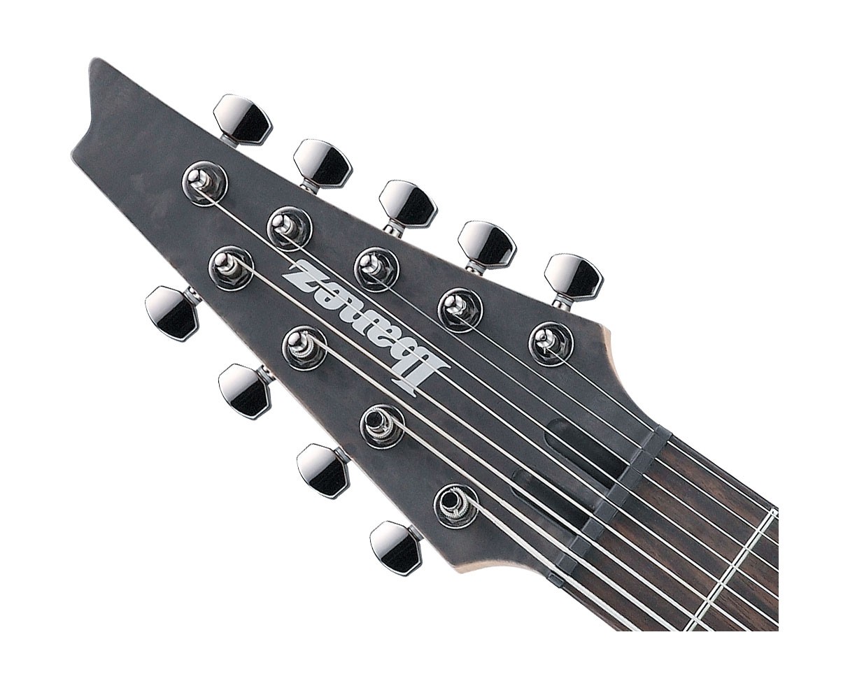 Ibanez RG9PBTGF RG Axe Design Lab 9-String Guitar – Trans Gray Burst