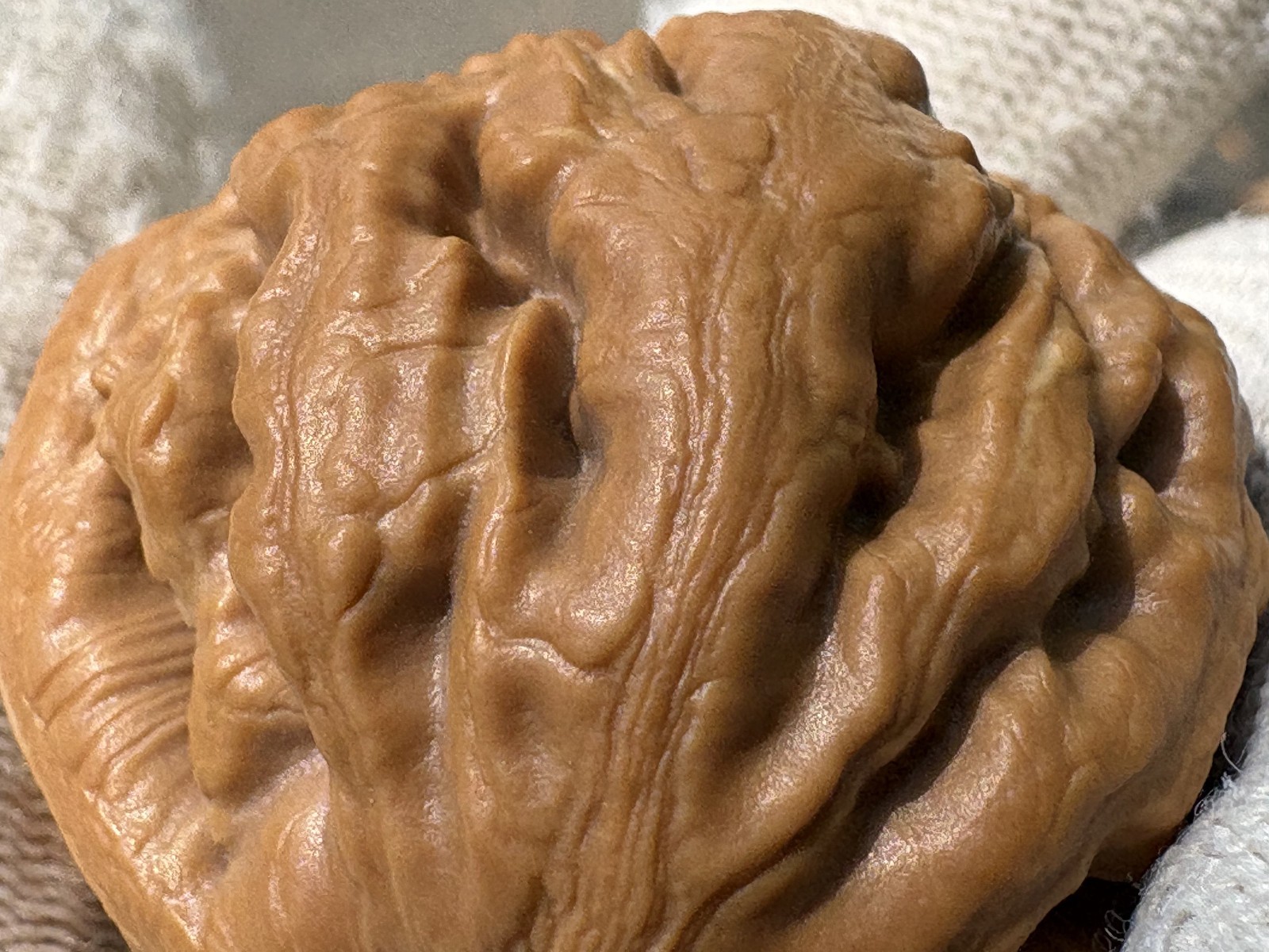 Hand Massage ball Wenwan walnut T-rex Thick Ridge Ba Wang Long Qiu Zi