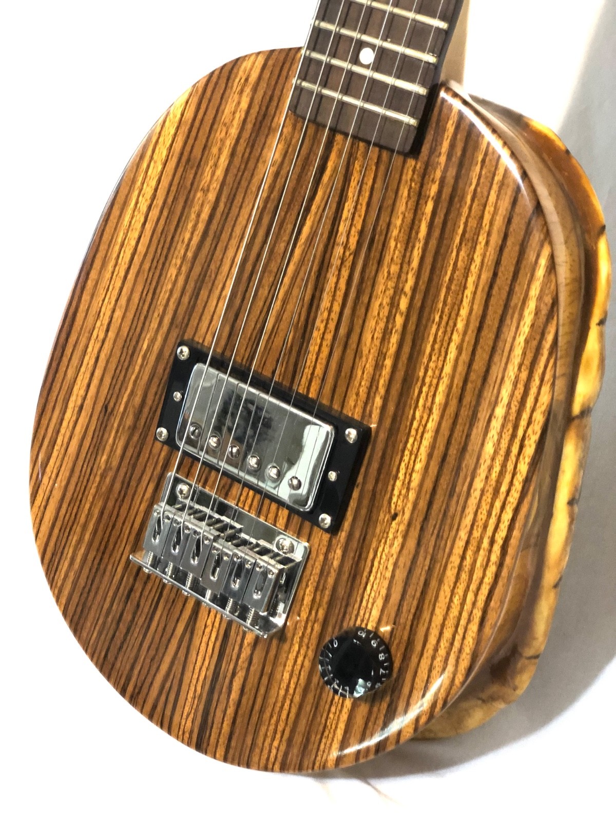 Turtle Shell Electric Guitar