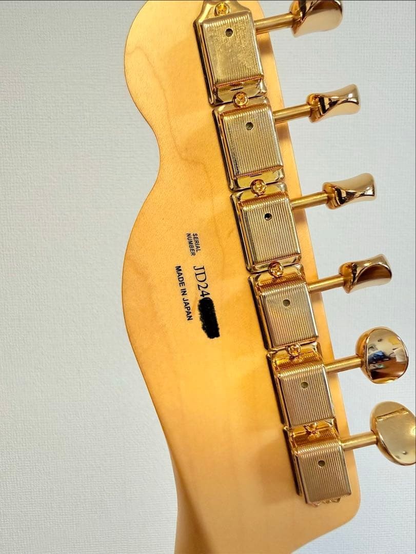 Fender Telecaster Thinline Harajuku Limited Gold Parts Kusumi No.MG293