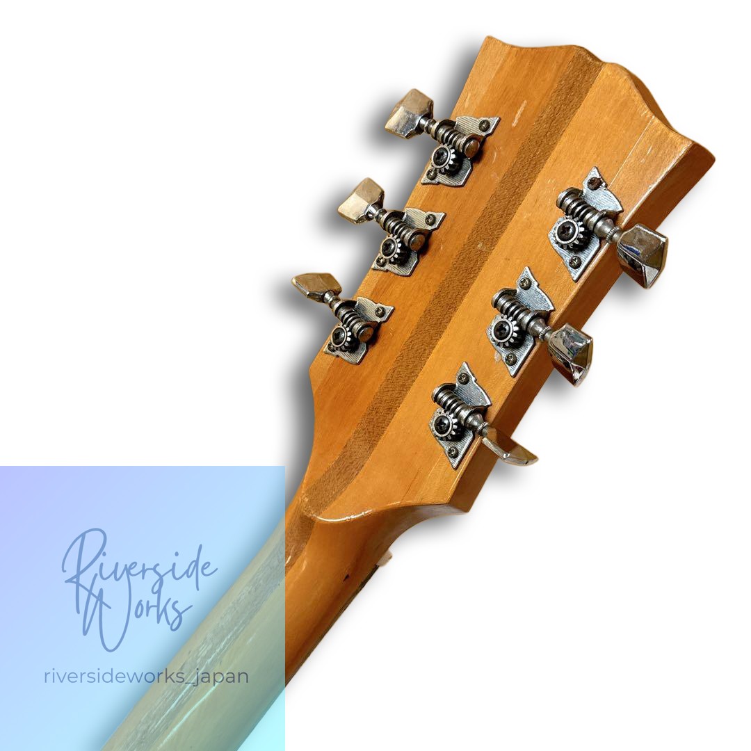 Morales ESP-180 Full Acoustic ZEN-ON Bizarre