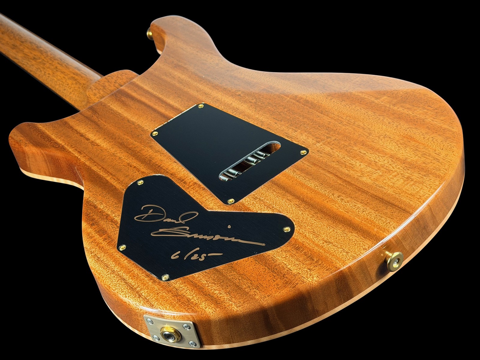 2024 PAUL REED SMITH PRS DAVE GRISSOM DGT WOOD LIBRARY BR@ZILIAN ~ FROST BITE